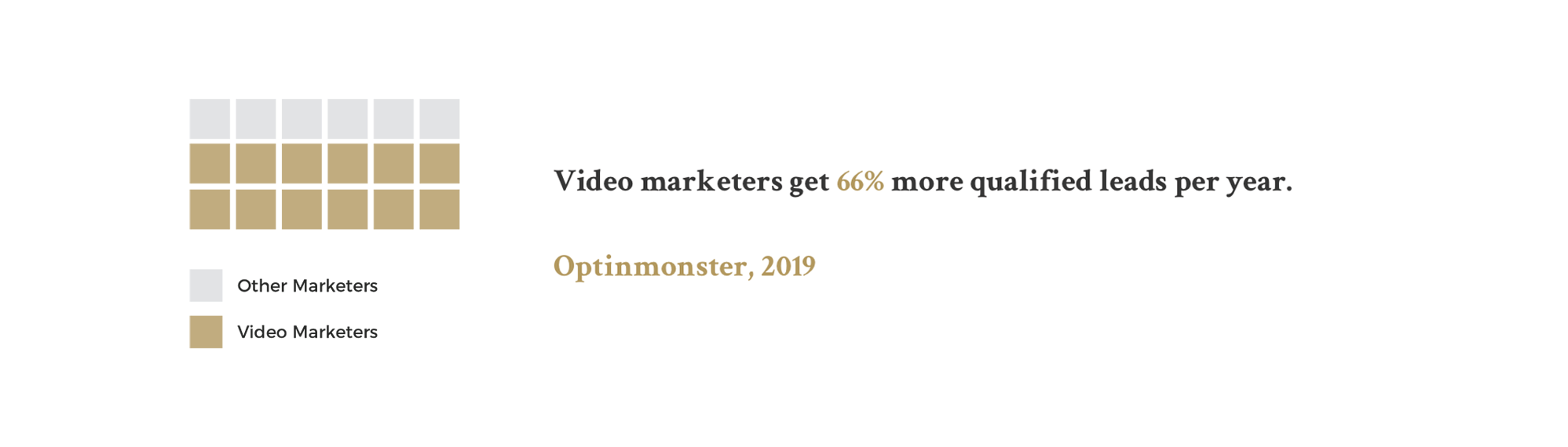 Video marketers stats